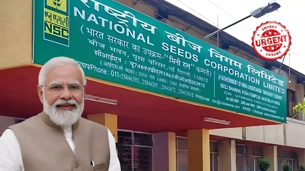 NSC Recruitment 2024