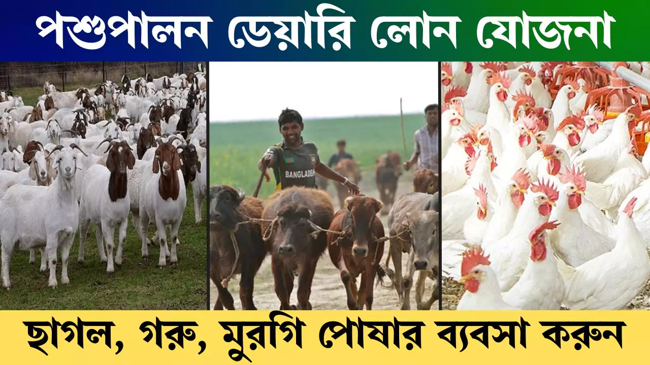 পশুপালন ডেয়ারি লোন যোজনা