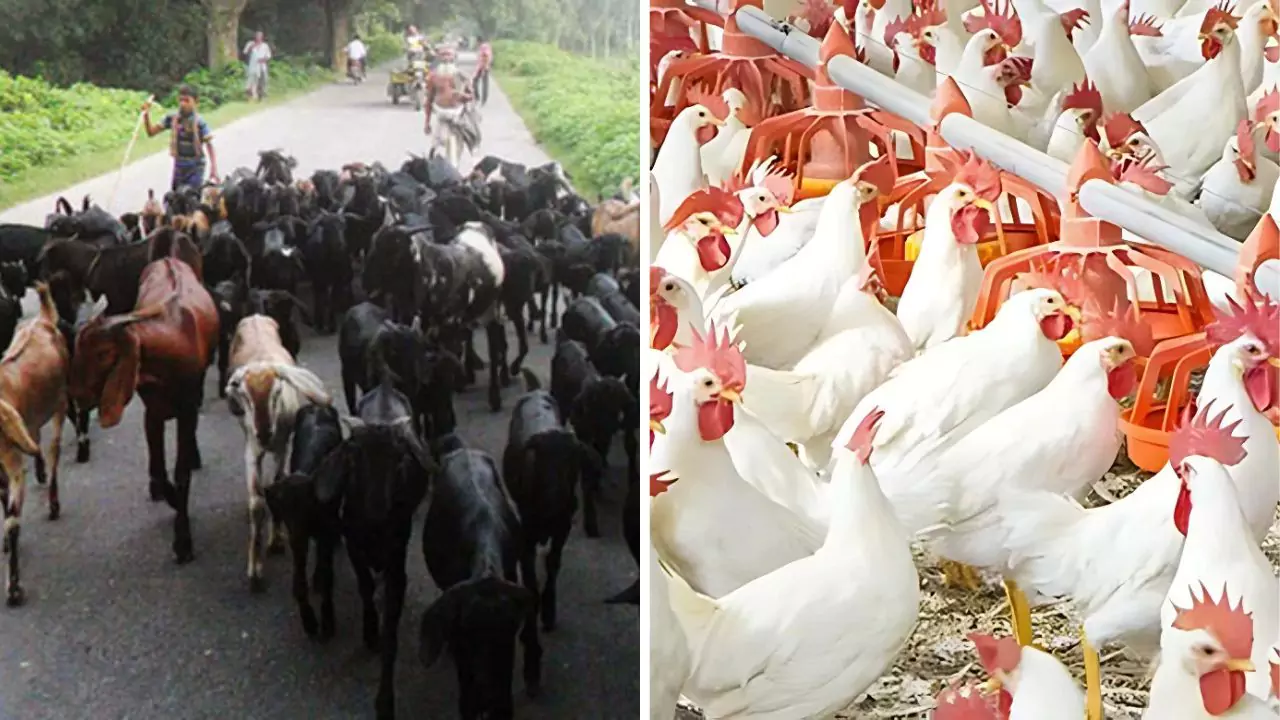 SBI Pashupalan Loan Yojana 2025